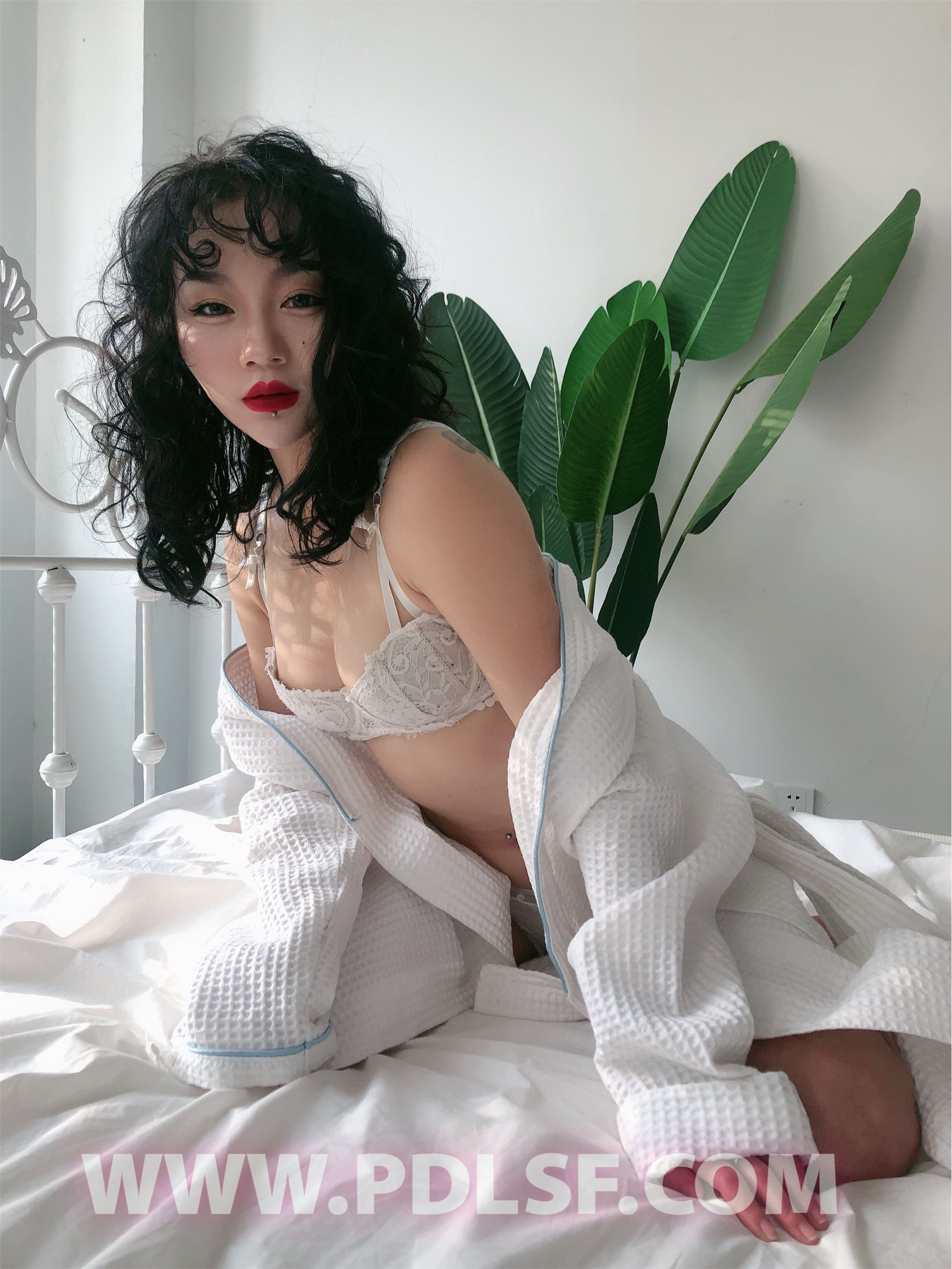 PDL潘多拉 2020.02.03 专辑No.277